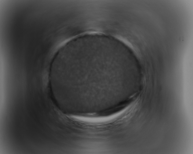 X0000092271359200709211129