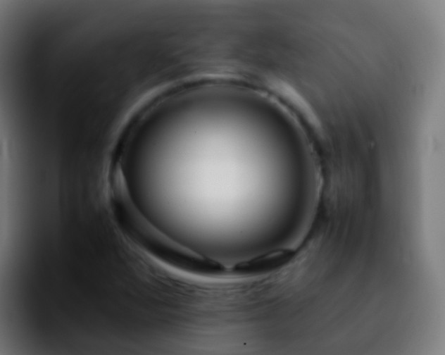 X0000092271360200709211129