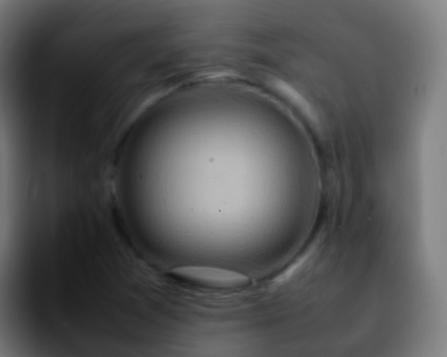 X0000092271361200709211129