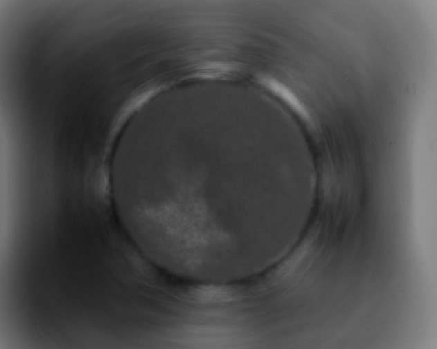 X0000092271362200709211129