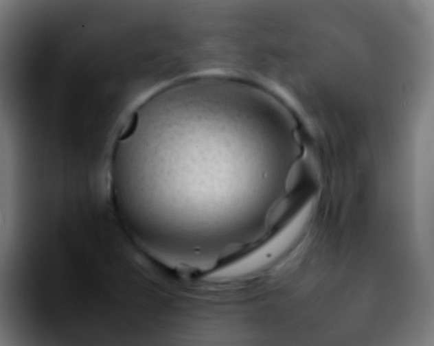 X0000092271367200709211129