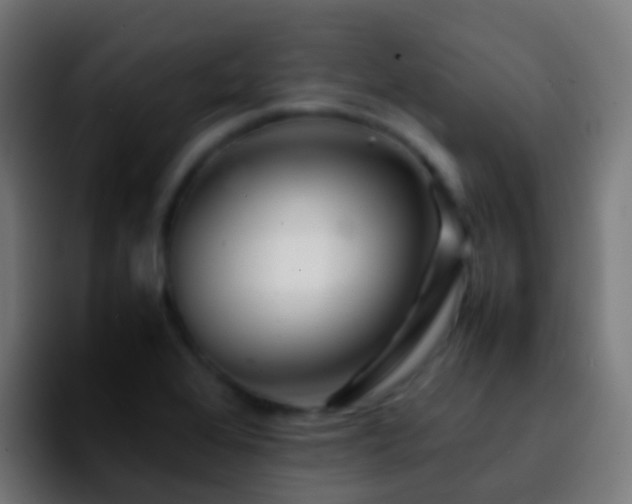 X0000092271368200709211129