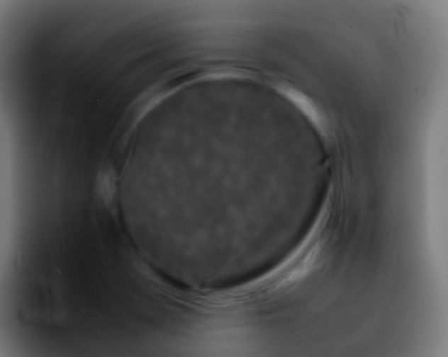 X0000092271369200709211129