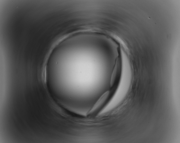 X0000092271371200709211129