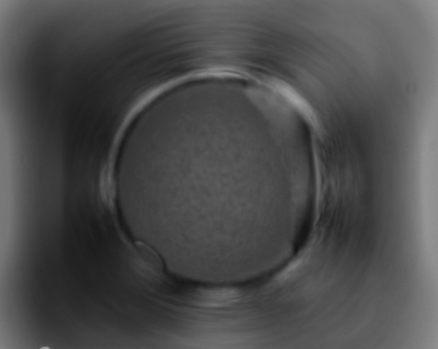 X0000092271372200709211129