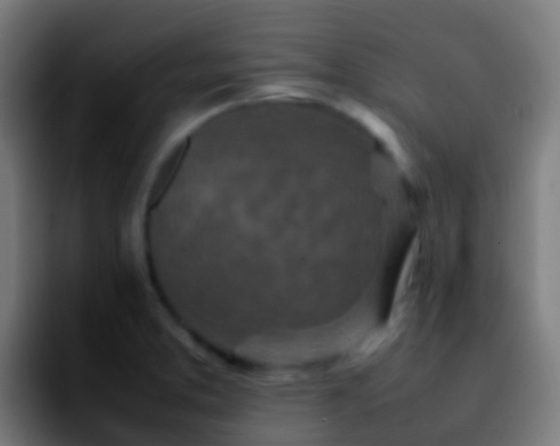 X0000092271373200709211129