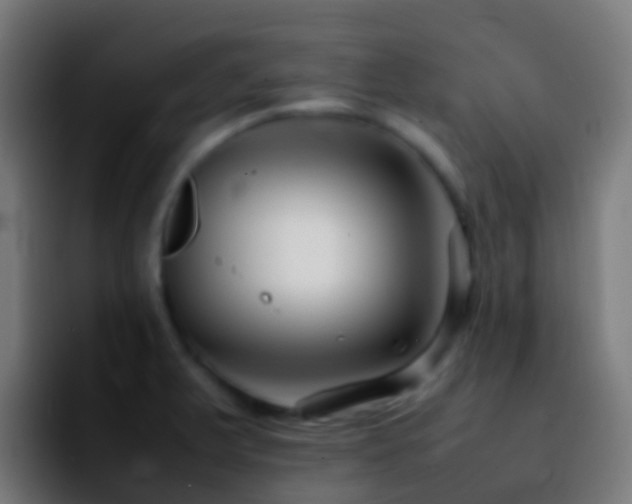 X0000092271375200709211129