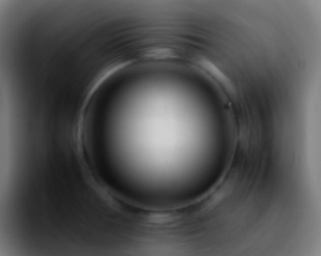 X0000092271378200709211129