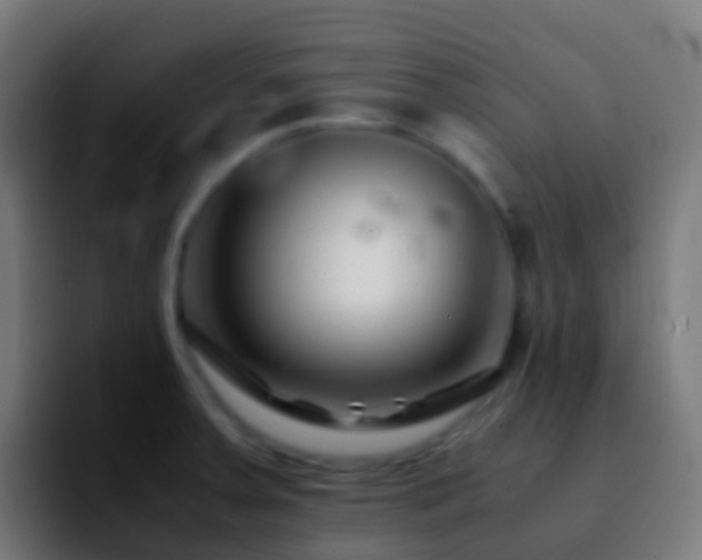 X0000092271379200709211129