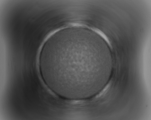 X0000092271381200709211129