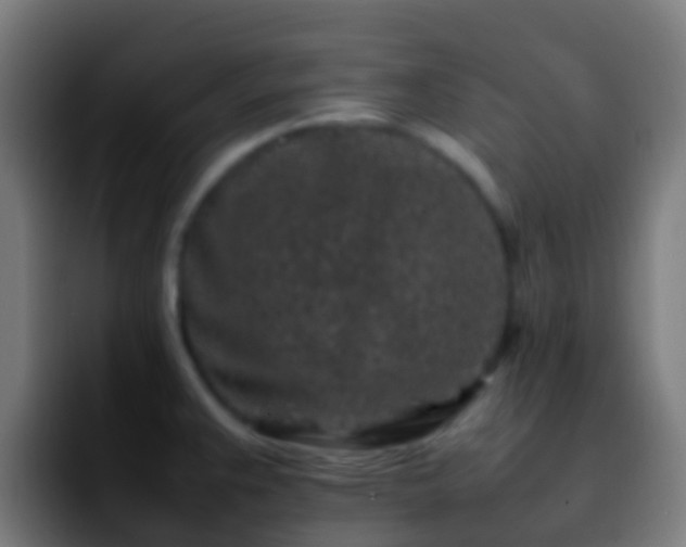 X0000092271383200709211129