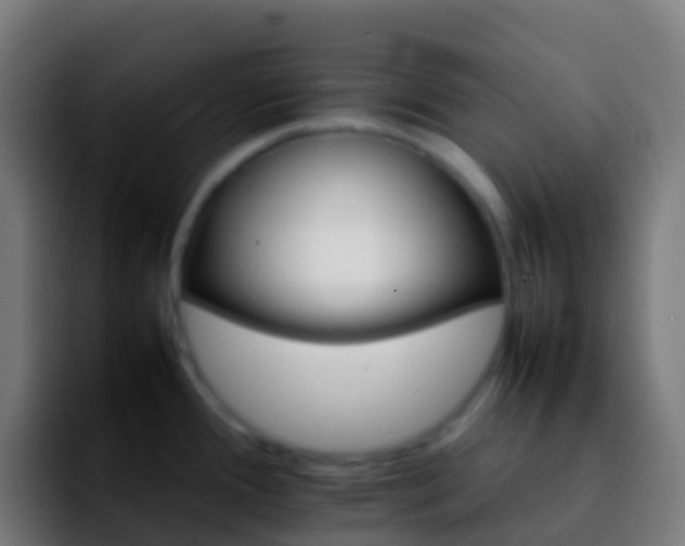 X0000092271388200709211129