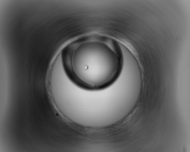 X0000092271392200709211129