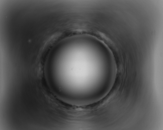X0000092271398200709211129