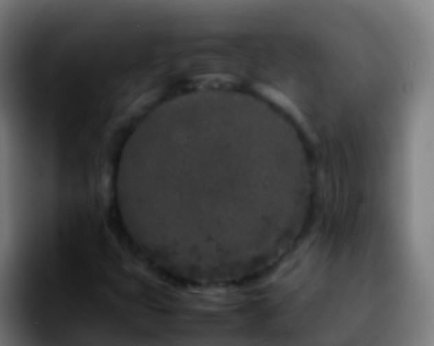 X0000092271399200709211129