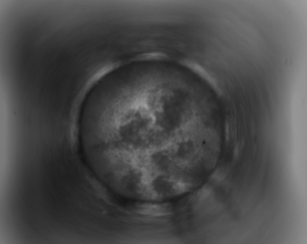 X0000092271405200709211129