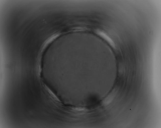 X0000092271411200709211129