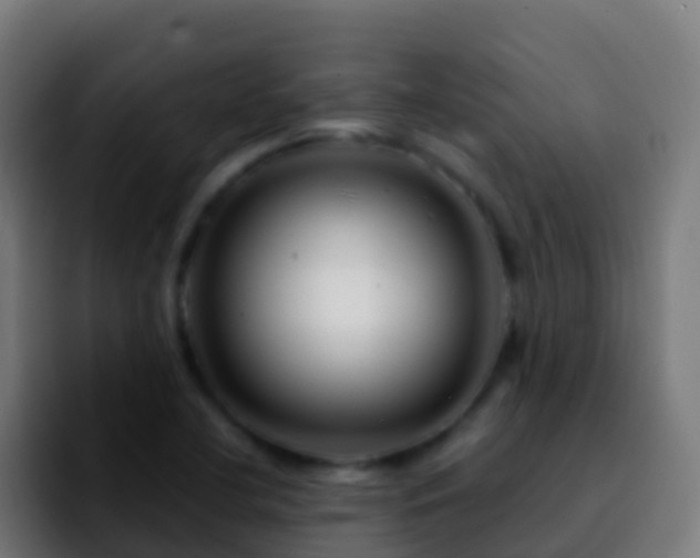 X0000092271412200709211129
