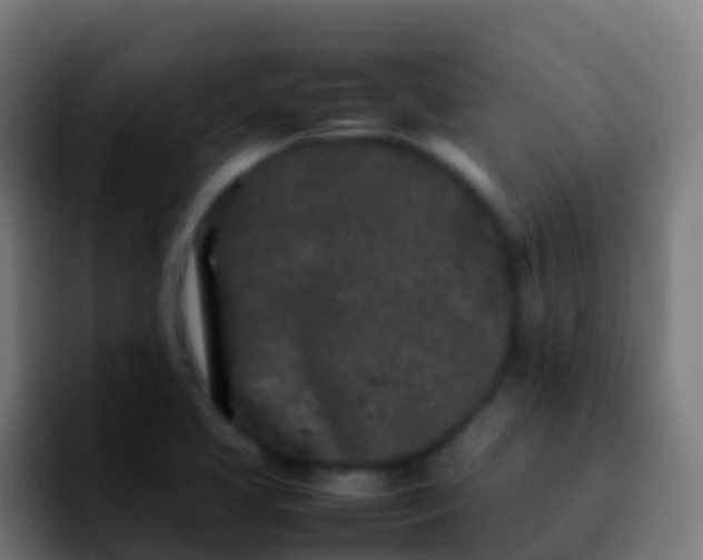 X0000092271413200709211129