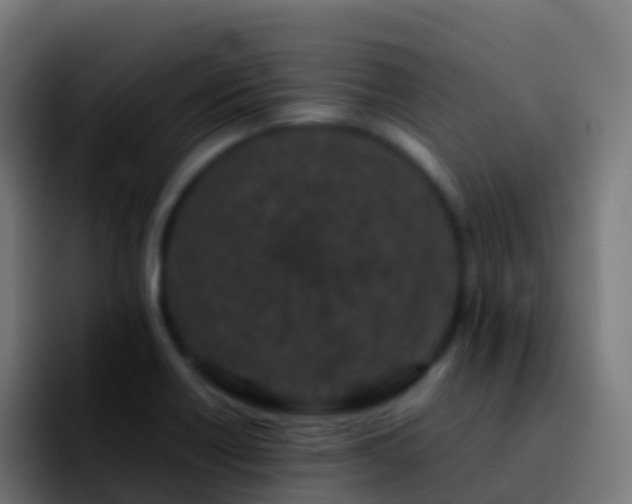 X0000092271418200709211129