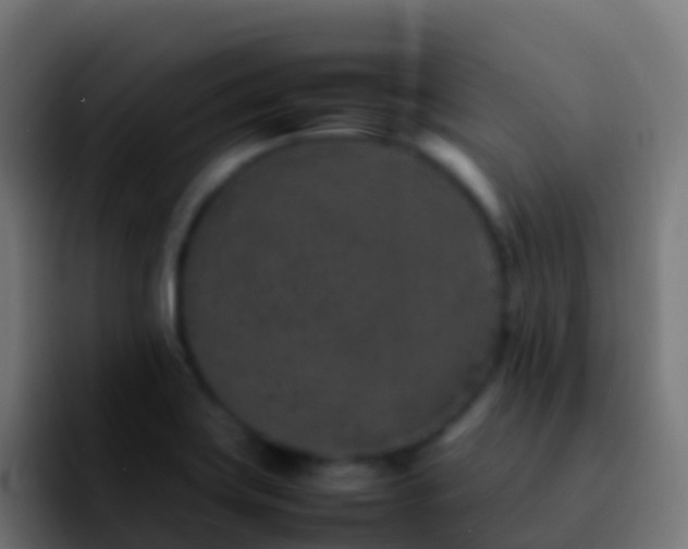 X0000092271419200709211129
