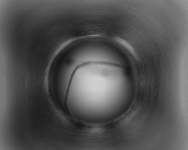 X0000092271423200709211129