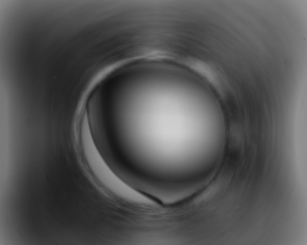 X0000092271424200709211129