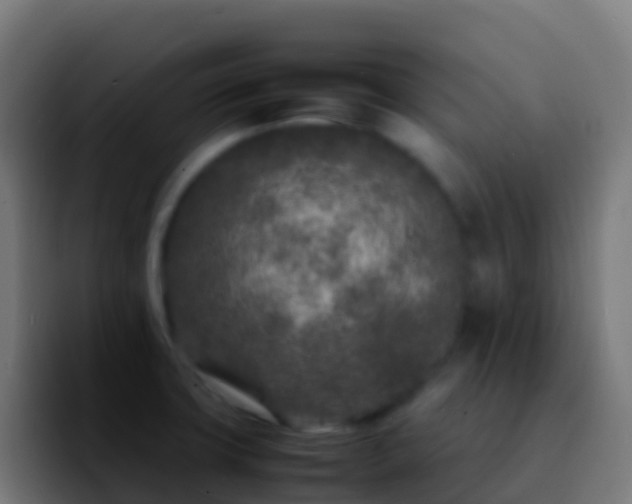 X0000092271427200709211129