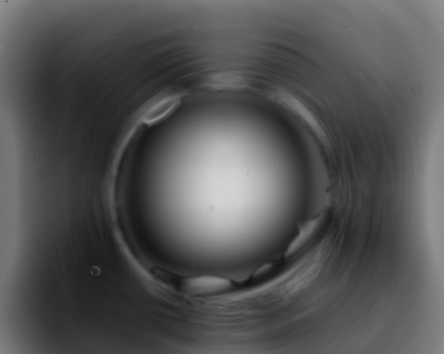 X0000092271434200709211129