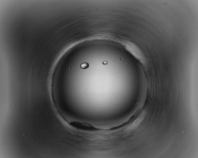 X0000092271438200709211129