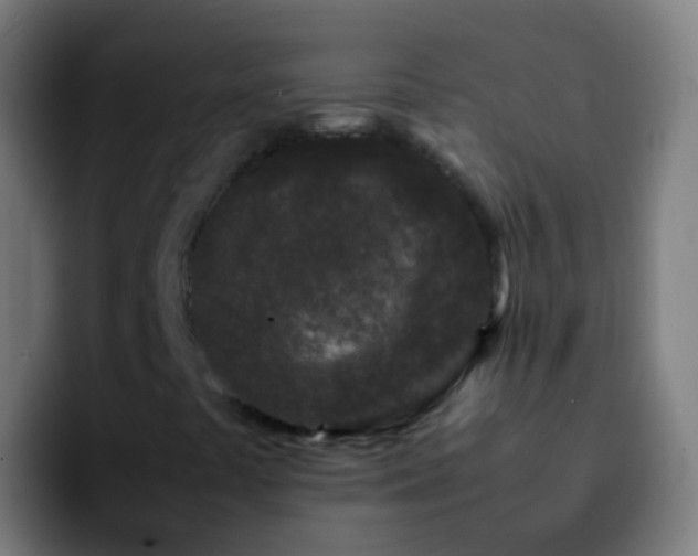 X0000092271441200709211129