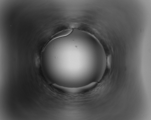 X0000092271443200709211129