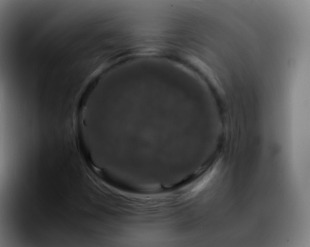 X0000092271449200709211128