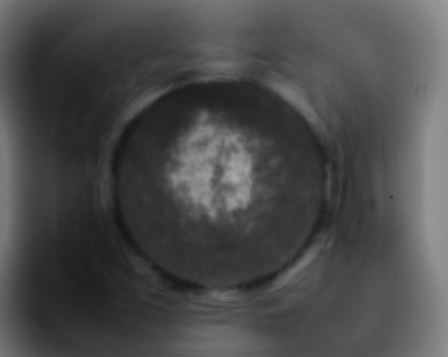 X0000092271453200709211128