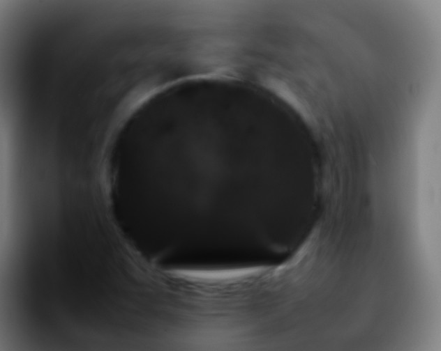 X0000092271455200709211128