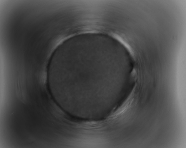 X0000092271459200709211128