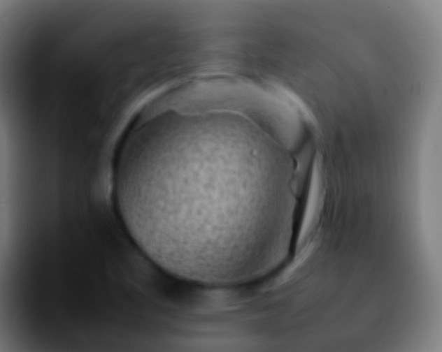 X0000092271461200709211128