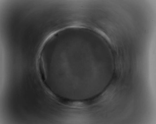 X0000092271463200709211128