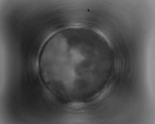 X0000092271466200709211128
