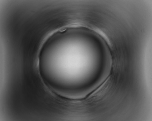 X0000092271472200709211128