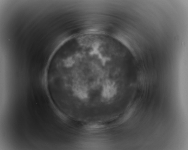 X0000092271474200709211128
