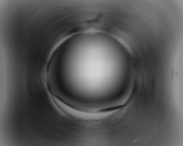 X0000092271476200709211128