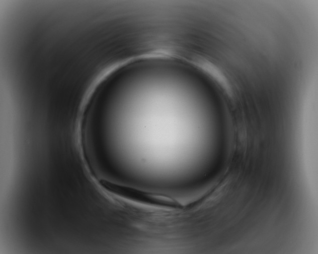 X0000092271480200709211128