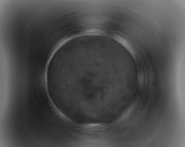 X0000092271482200709211128