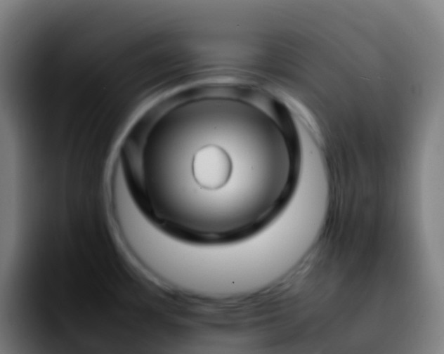 X0000092271483200709211128