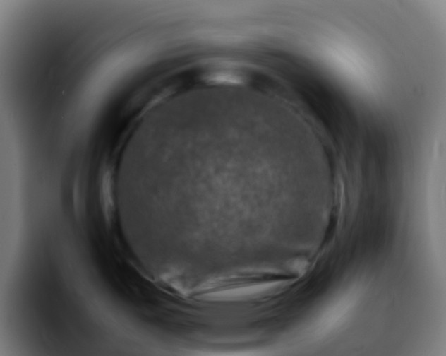X0000092271487200709211128