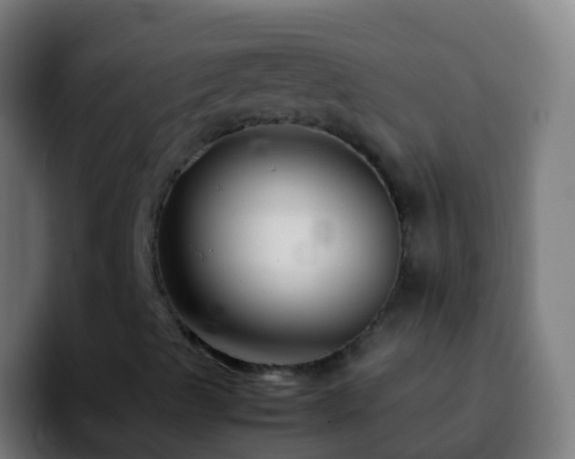 X0000092271489200709211127