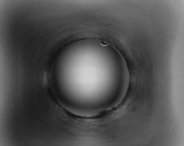 X0000092271490200709211127