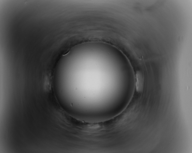 X0000092271491200709211127