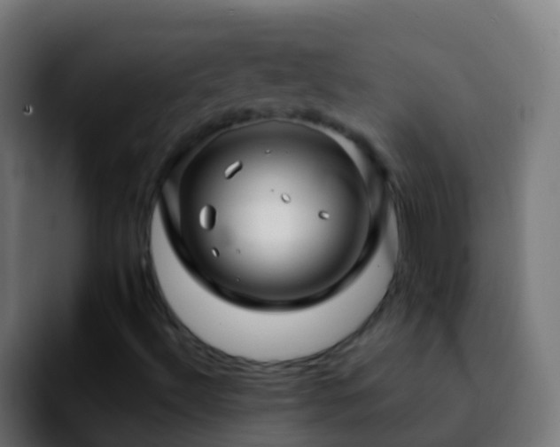 X0000092271492200709211127